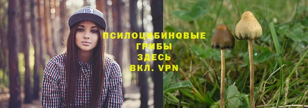 a pvp Майский