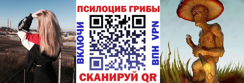mega зеркало  Мглин  Галлюциногенные грибы Magic Shrooms 
